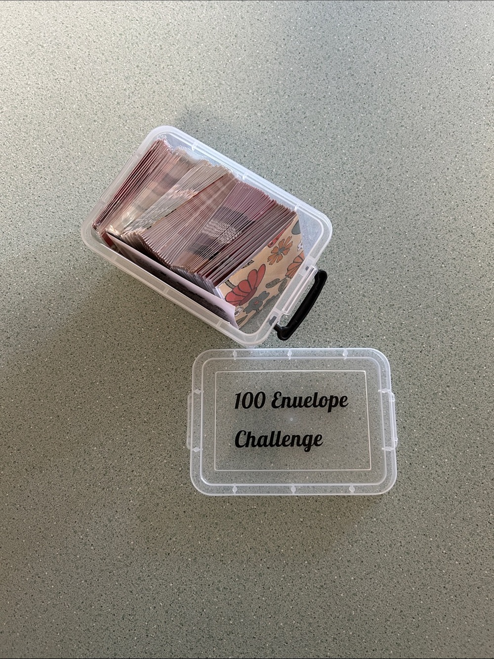 Clear Plastic Storage Box with Black Handle - 100 Envelope Challenge